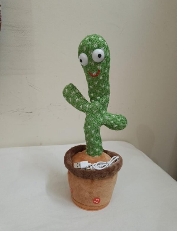 Dancing Cactus